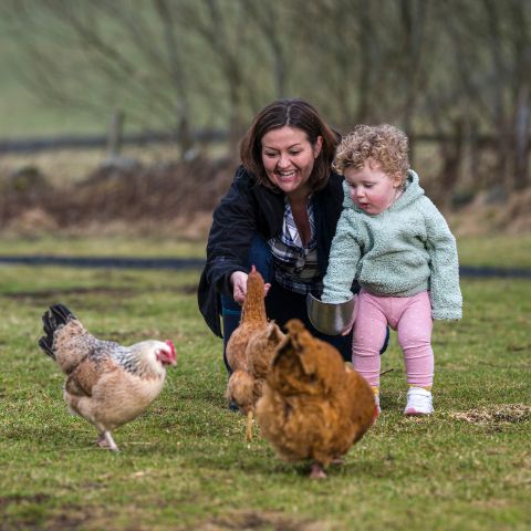 Family Days Out